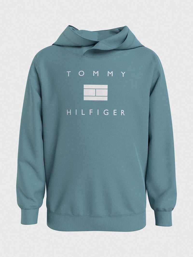 Aqua Kids\' Tommy Hilfiger Hilfiger Hoodies | AU_B2022