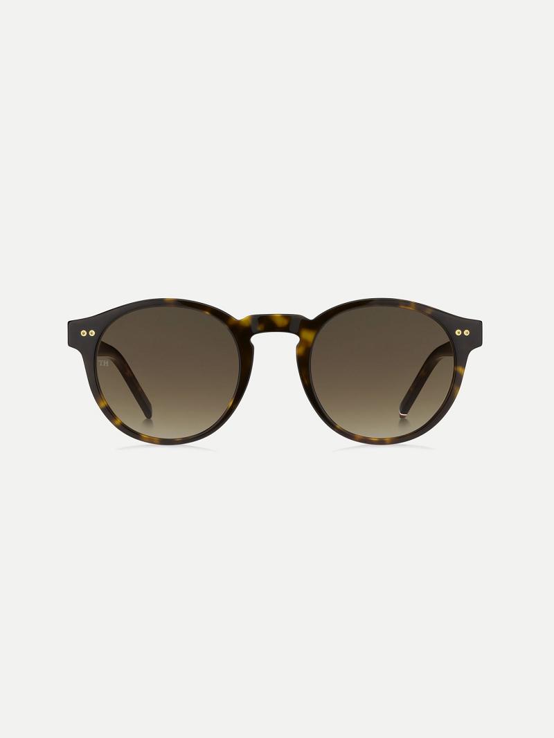 Brown Men's Tommy Hilfiger Retro Sunglasses | AU_M31772