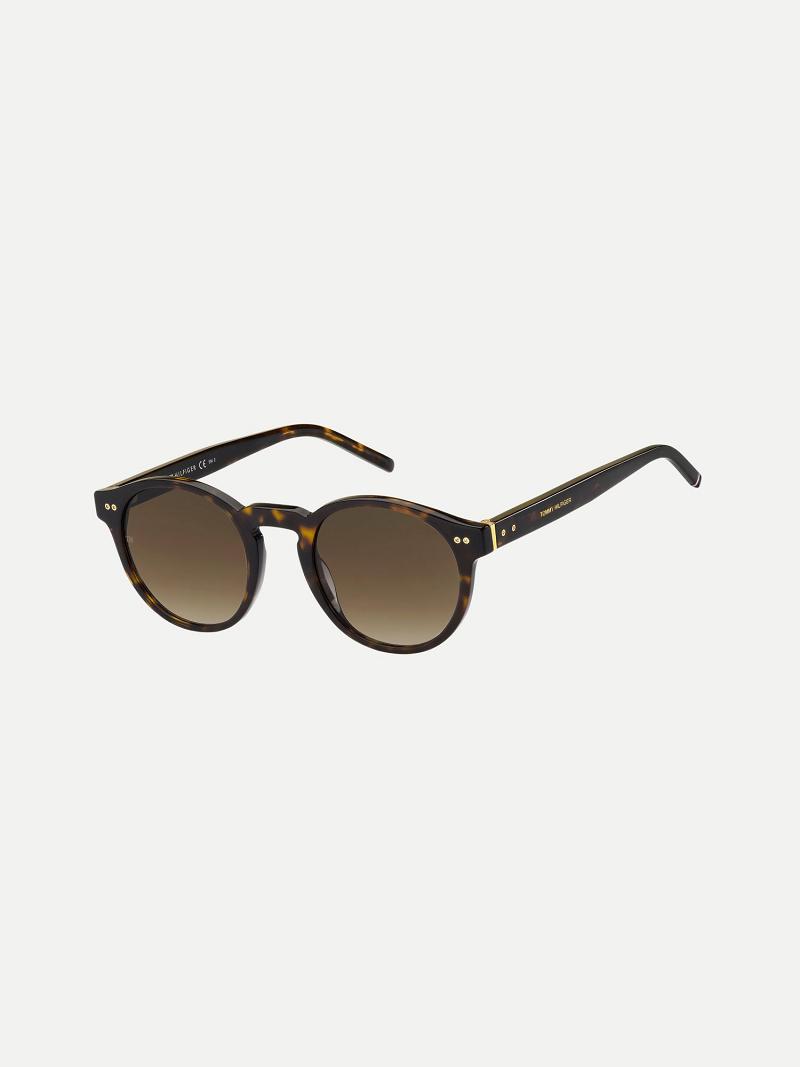 Brown Men\'s Tommy Hilfiger Retro Sunglasses | AU_M31772