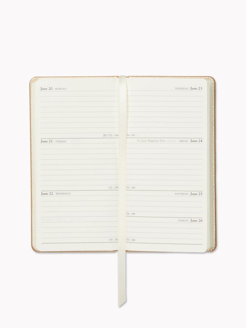 Gold Men's Tommy Hilfiger Weekly Planner Technology | AU_M31801