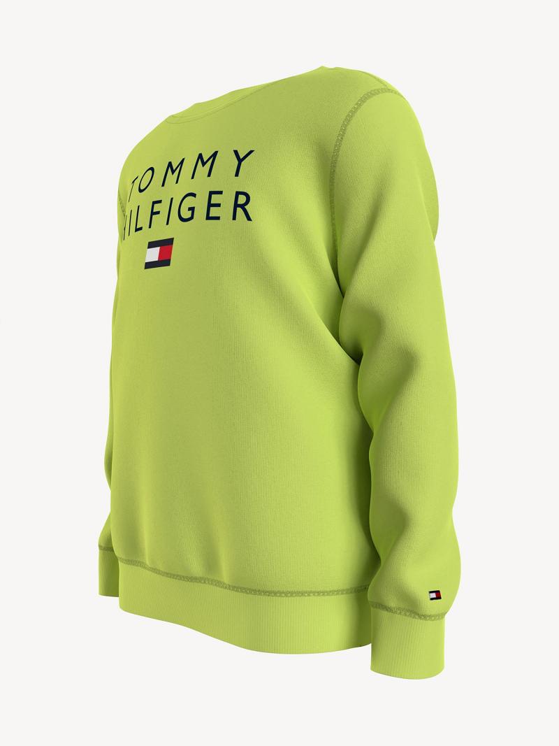 Green Kids' Tommy Hilfiger Tommy Sweatshirts | AU_B2139