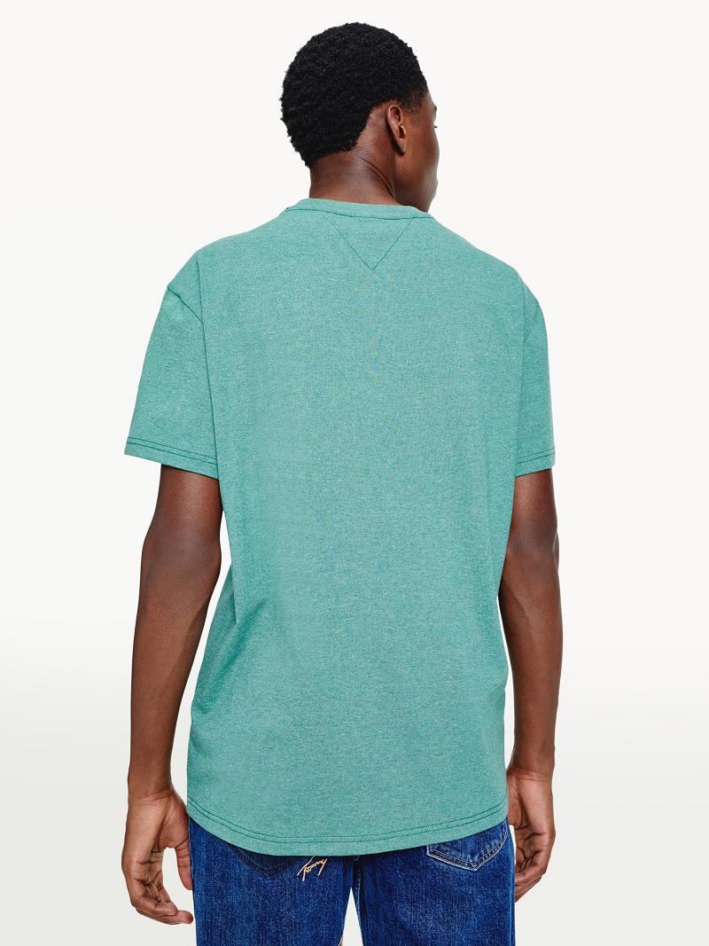 Green Men's Tommy Hilfiger Washed collegiate T Shirts | AU_M31089