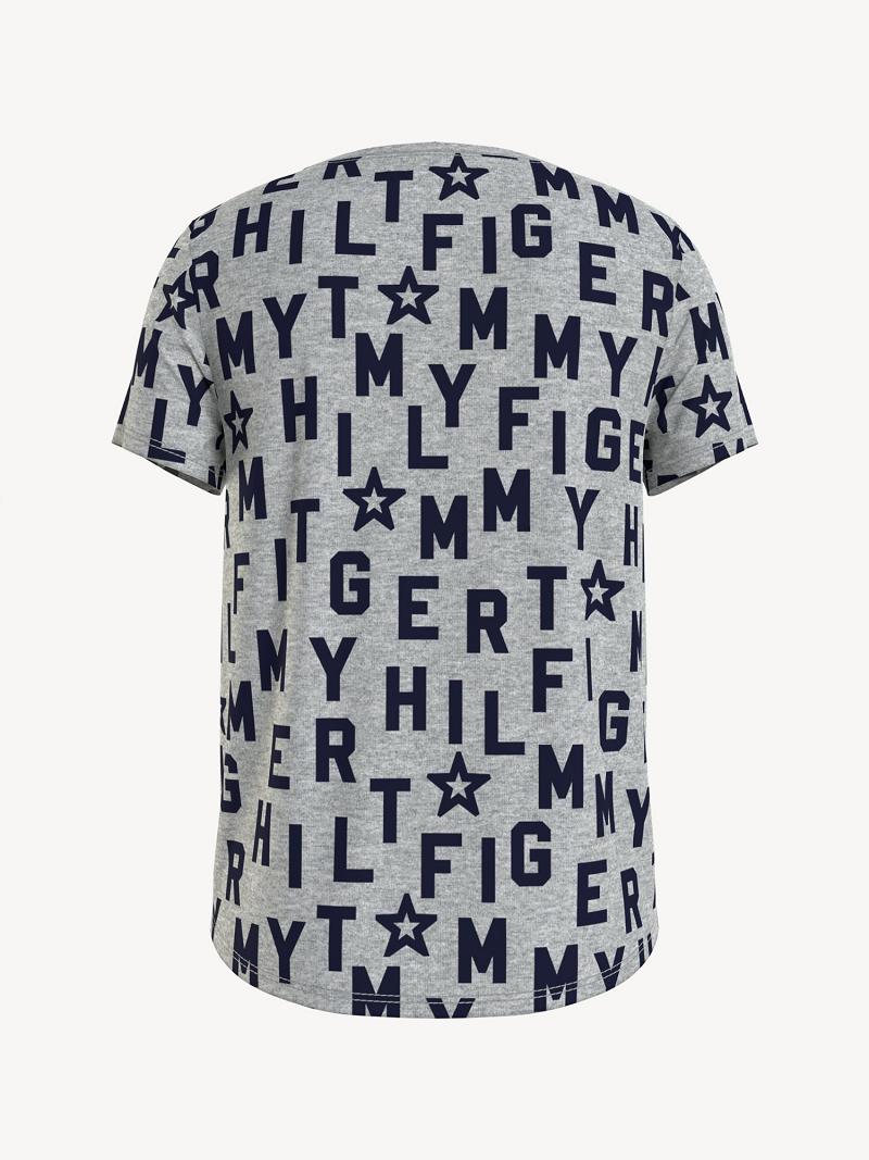 Grey Kids' Tommy Hilfiger Tommy T Shirts | AU_G1269