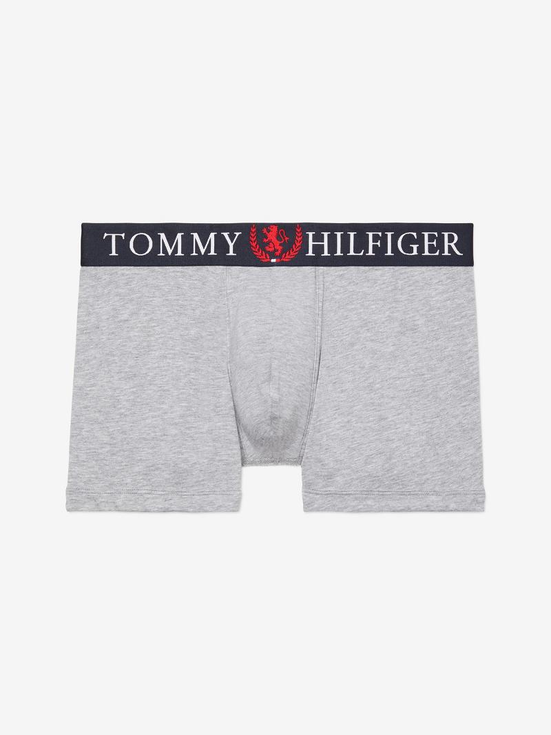 Grey Men\'s Tommy Hilfiger Authentic stretch trunk Trunks | AU_M31489