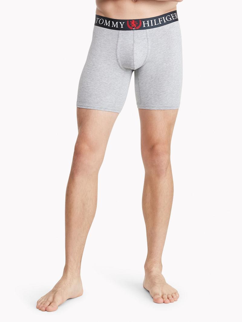 Grey Men's Tommy Hilfiger Authentic stretch boxer brief Boxer Briefs | AU_M31567