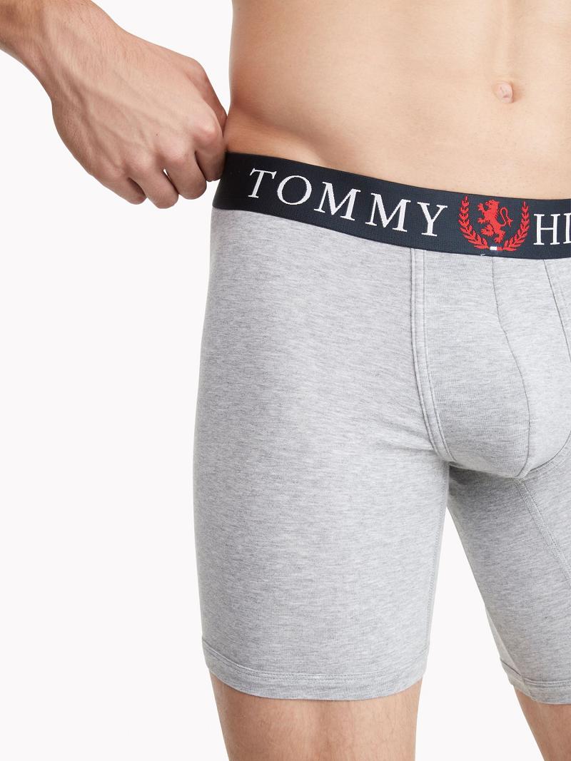 Grey Men's Tommy Hilfiger Authentic stretch boxer brief Boxer Briefs | AU_M31567