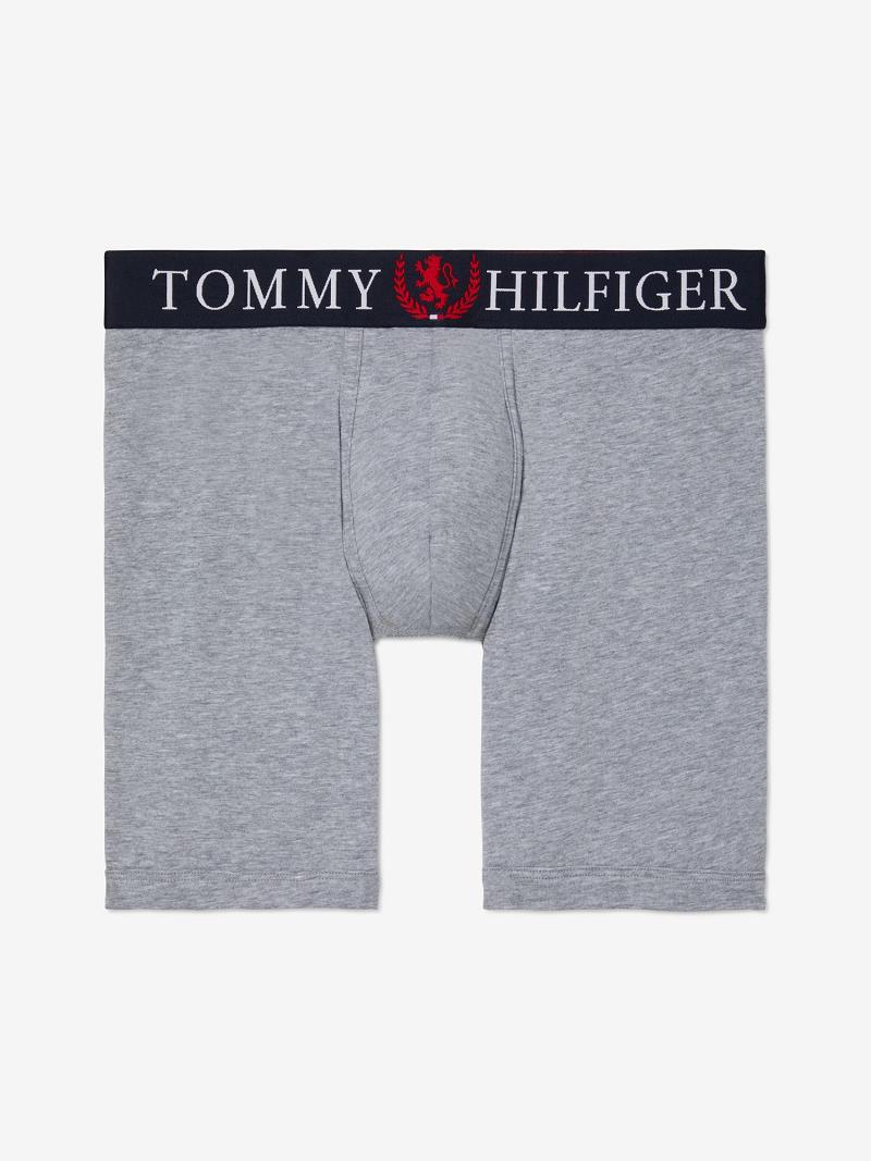 Grey Men\'s Tommy Hilfiger Authentic stretch boxer brief Boxer Briefs | AU_M31567