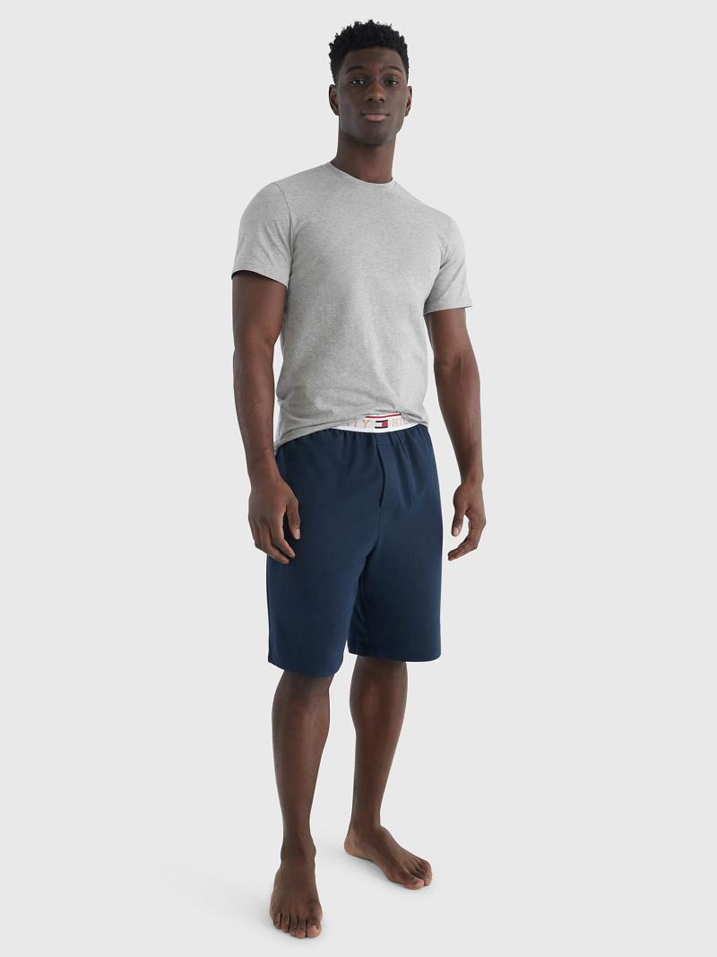 Navy Men's Tommy Hilfiger Modern essentials Shorts | AU_M31216