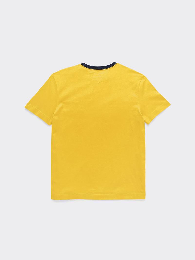 Yellow Kids' Tommy Hilfiger Flag T Shirts | AU_B2171