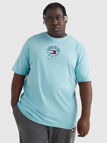 Blue Men's Tommy Hilfiger Big and tall circle logo T Shirts | AU_M31003