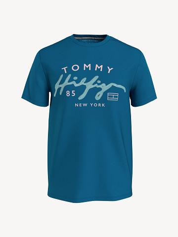 Blue Men's Tommy Hilfiger Script T Shirts | AU_M31066