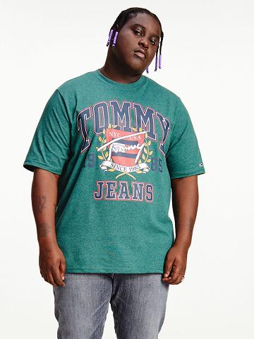 Green Men's Tommy Hilfiger Big and tall signature collegiate T Shirts | AU_M31006