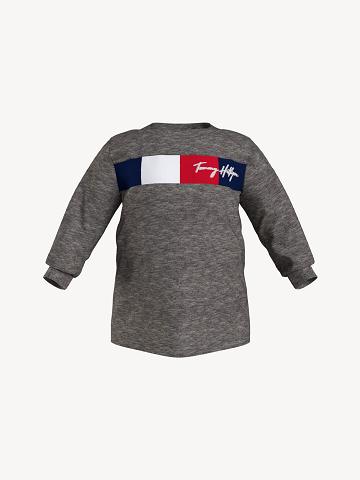 Grey Kids' Tommy Hilfiger Babies' Signature Long Sleeve T Shirts | AU_B2155