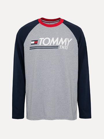 Grey Kids' Tommy Hilfiger Big Logo Raglan T Shirts | AU_B2160