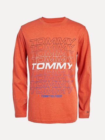 Orange Kids' Tommy Hilfiger Little Boys' Tommy Long-Sleeve T Shirts | AU_B2179